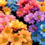 Keli Cristina dos Reis