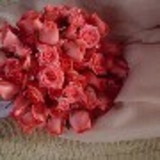 Juliana dos Reis F Pedroso