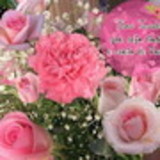 Sonia Regina Gomes da silva