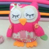 Flavia Cristina de Souza Oliveira