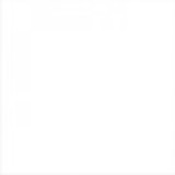 Marcelle Araujo Miranda