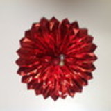 Tereza Cristina Ruiz Balceiro Silveira