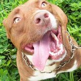 Lívia Cristina dos Santos