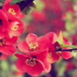 Érica Prieto Sanchez