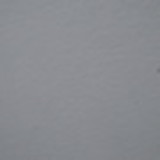 Carolina Muniz Barba