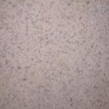 Regina de oliveira costa ferreira