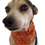 Raquel Rosemari da Silveira