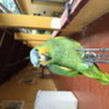 Gabrielle Lira Campos