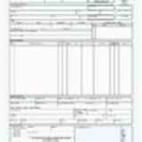 Maria Isabel Tafner Carrilho