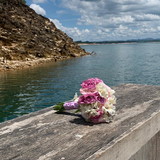 carolina mibielli campos teixeira bernardes