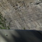 Liriana Paula Carreiro de Melo