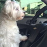 michelle caldeira sampaio