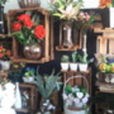 Jardim Secreto São Carlos