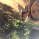 Fabíola Jacinto dos Santos Boschetti