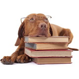 Juliana Martins Torres