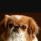 Viviane Gonçalves Dias