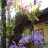 \Maria Trindade Dutra de Gouvea Mendonca