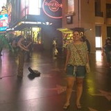 Rosa Helena Kreutz Alves