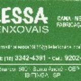 Alessa Aparecida Basana