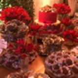 FERNANDA LINS SANTANA SILVA