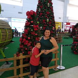 Lucia Gabriele Pereira de Andrade Brsgs