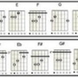 Márcia  Regina Vertuani