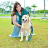 alessandra alves pinheiro pires