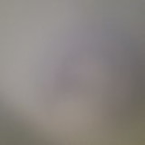 Wesla Dourado Araujo