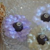 Fernanda de Araújo Sodré