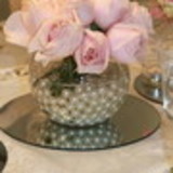 FLAVIA APARECIDA LUZ SILVA