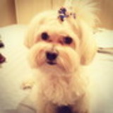 Camila Silva Rodrigues Parra