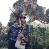 jussara boll luiz de assis