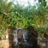 Fabrício Mahler Ramos