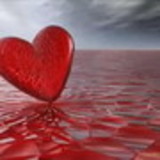 fernanda gonçalves santos