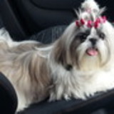 JAQUELINE SANTOS SANTANA