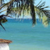 ALINE FERNANDES DE JESUS SANTOS