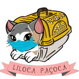 Liloca Paçoca ateliê de fofurices