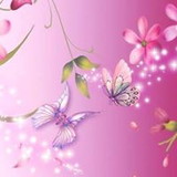 Andreia Cerqueira de Carvalho