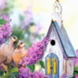 THAISY MENDONÇA ZIMIANI