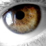 Martha Peleteiro Tourinho