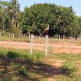 Maria de Lurdes Loreiro da Silva Sousa