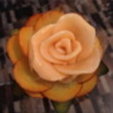 Fernanda Alves Carvalho