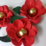 Talita Arrais Gonçalves dos Santos