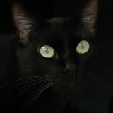 Aline Alves Magalhães