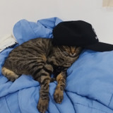 Ana Yoshico Nakamura 