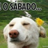 Jaciele Fernanda da Silva