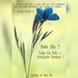 ROSELI MOREIRA DA SILVA PRADO