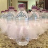 Beatriz de Araujo Franco Santos