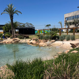 Caroline Lucini Dias Carvalho