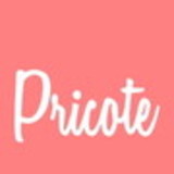 Pricote - Festas em Papel